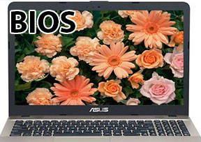 Скачать BIOS ASUS UX50V-1BX, UX50v Rev 2.0